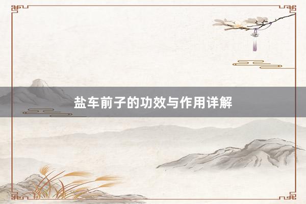 盐车前子的功效与作用详解